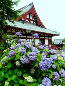 部下への指示はわかりやすくだよね・・・・・　　人事見直し倶楽部通信　　№2307