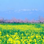 職場の空気を変える　それが大切である・・・・・　　人事見直し倶楽部通信　　№2580