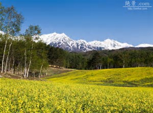 振り返る時間を持ちましょう・・・・・　　人事見直し倶楽部通信　　№3285