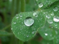 雨の日の過ごし方 考えてみては・・・　　人事見直し倶楽部通信　　№4826