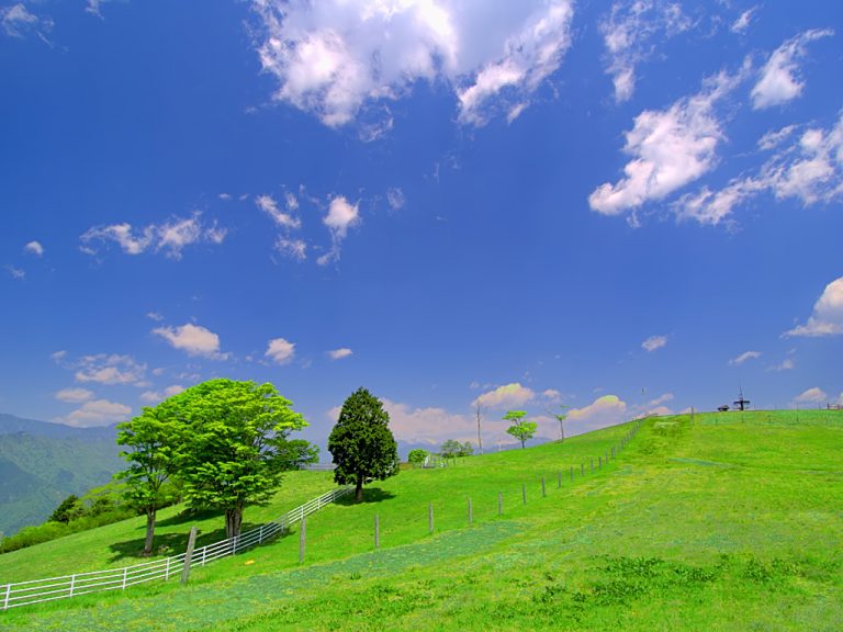 自分の理想は？“鶏口牛後”　・・・・・人事見直し倶楽部通信　　№3076