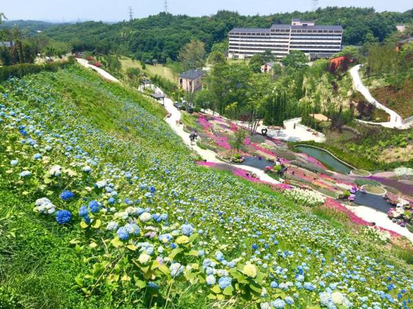 恥ずかしいことは、知らないことを知らないままにすること・・・・・　　人事見直し倶楽部通信　　№2671