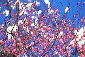 街角の景況感は悪化？年度末に向けて修正しなきゃ・・・・・　　人事見直し倶楽部通信　　№2907