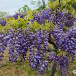 協働の相乗効果を強くするために・・・・・　　人事見直し倶楽部通信　　№3341