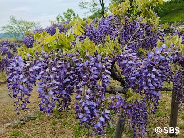 協働の相乗効果を強くするために・・・・・　　人事見直し倶楽部通信　　№3341