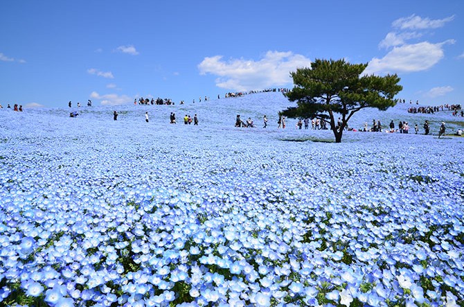 自分事に置き換えてみよっと・・・・・　　人事見直し倶楽部通信　　№3359