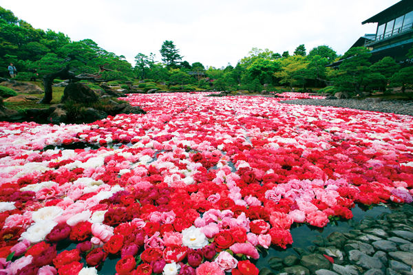 美しい景色を見ると心が癒される・・・・・　　人事見直し倶楽部通信　　№3356