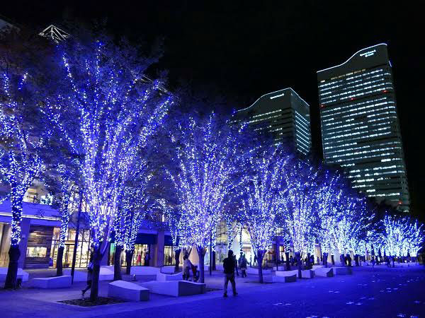 街は徐々にクリスマスモードへ・・・・　　人事見直し倶楽部通信　　№3539