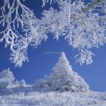 身を守り　影差す職場の　春遠し・・・　　人事見直し倶楽部通信　　№5840