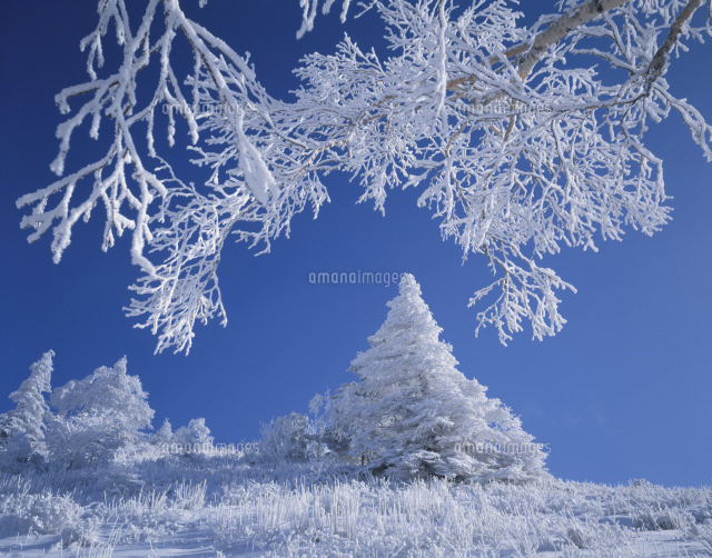 身を守り　影差す職場の　春遠し・・・　　人事見直し倶楽部通信　　№5840