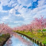 寒き日に　芽の音ひそと　春を待つ・・・　　人事見直し倶楽部通信　　№5832